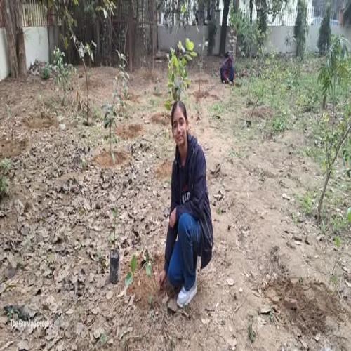 द ग्रोइंग पीपल द्वारा वृक्षारोपण केसाथ नव वर्ष का आगाज किया